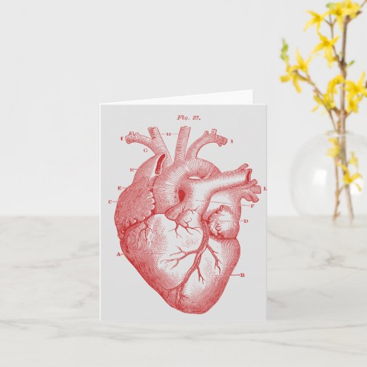 Vintage Anatomische Menschliche Herz Notizkarte Karte (Gelbe Blume)