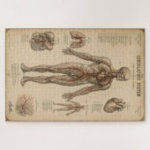 Vintage anatomisches Kreislaufsystem Puzzle (Horizontal)