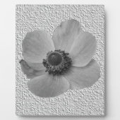 Vintage Anemone Plaque Fotoplatte (Vorderseite)