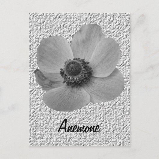 Vintage Anemone-Postkarte individuell anpassen Postkarte (Vorderseite)