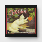 Vintage Angora White Cat Citrus Fruit Label Fotoplatte (Vorderseite)