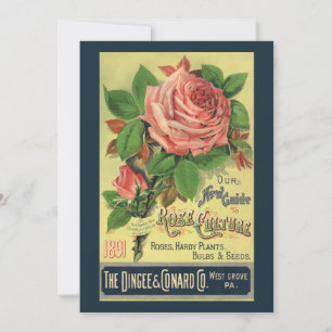 Vintage-Anleitung für Rosenkultur Buchcover Kunst,