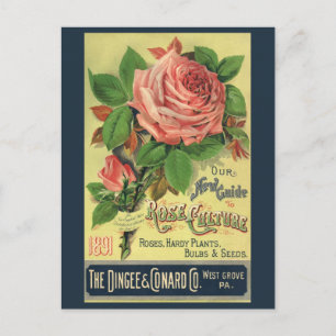 Vintage-Anleitung für Rosenkultur Buchcover Kunst, Postkarte