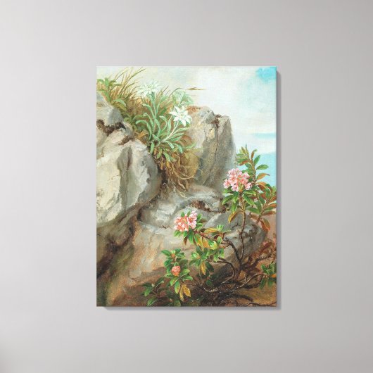 Vintage Anna Stainer-Knittel Alpin Rose Leinwanddruck (Vorderseite)