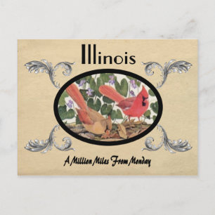 Vintage-Ansicht alte Postkarte Illinois Staat