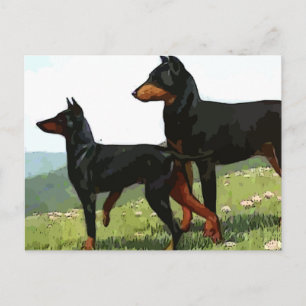 Vintage Ansichtskarte Postkarte