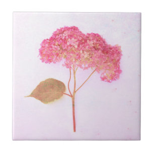Vintage Antik Chic Rosa Hortensie Landhausstil Flo Fliese