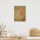 Vintage antike Anatomie Anatomisches Diagramm Poster (Küche)