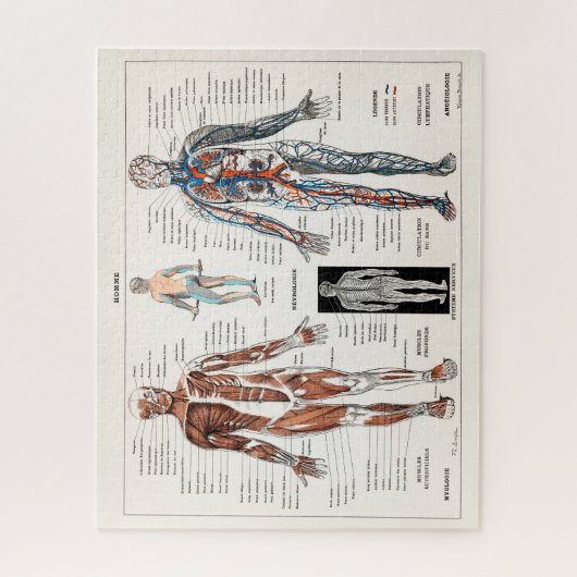 Vintage antike Anatomie Puzzle (Vertikal)