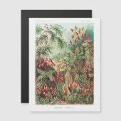 Vintage antike Blume Regenwald Magnetkarte (Vorne/Hinten)