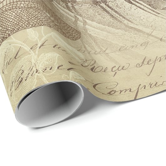 Vintage antike französische Mode Ephemeraskript Geschenkpapier (Rolleneckpunkt)