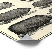 Vintage antike Landtiere Poster (Ecke)