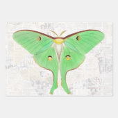 Vintage antike Luna Moth Butterfly Decoupage Geschenkpapier Set (Vorderseite 2)
