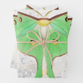 Vintage antike Luna Moth Butterfly Decoupage Geschenkpapier Set (Beispiel)