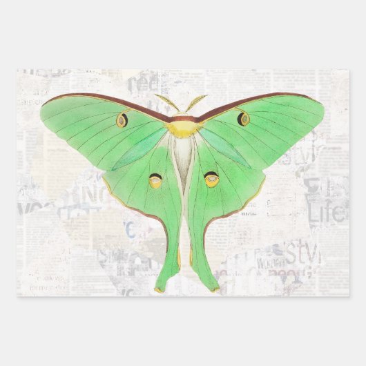 Vintage antike Luna Moth Butterfly Decoupage Geschenkpapier Set (Vorderseite)