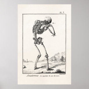 Vintage antike menschliche Skeleton medizinische Poster