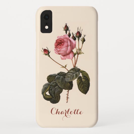 Vintage antike rosa Gartenanlage Rose in Blumen Case-Mate iPhone Hülle (Rückseite)