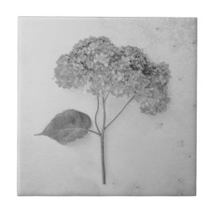 Vintage antike Schwarz-Weiß-Hydrangea Fliese