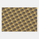 Vintage antike Traktoren Geschenkpapier Set (Vorderseite 3)