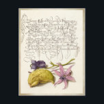 Vintage antikkalligraphische botanische Darstellun Feiertagspostkarte<br><div class="desc">Antike lateinische Kalligraphie mit süßer Violette, Hunde-Zahn-Violette und Gourdbeleuchtung, mit Vintagem Hintergrund und Rahmen. Seiten aus einem illuminierten Manuskript aus dem 16. Jahrhundert mit dem Titel "Mira calligraphiae monumenta", in Zusammenarbeit mit zwei außergewöhnlichen Künstlern der damaligen Zeit. Die fabelhafte Kalligraphie wurde 1561-62 von György Bocskay, dem kroatisch-geborenen Hofsekretär des Heiligen...</div>