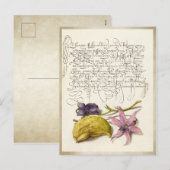Vintage antikkalligraphische botanische Darstellun Feiertagspostkarte (Vorne/Hinten)