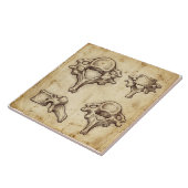 Vintage Antique Anatomical Vertebrae Illustration Fliese (Seite)