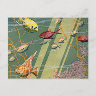 Vintage Antique Fish Undersea Ocean Sea Colorful Postkarte