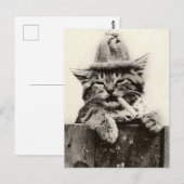 Vintage Antique Funny Nostalgie niedliche Katze/Kä Postkarte (Vorne/Hinten)
