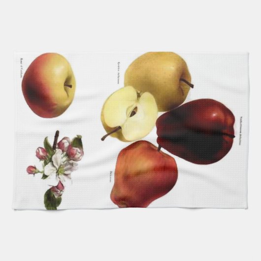 Vintage Äpfel Teetuch Geschirrtuch (Horizontal)