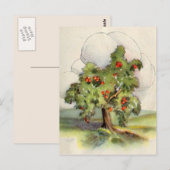 Vintage Apfelbaum Postkarte (Vorne/Hinten)