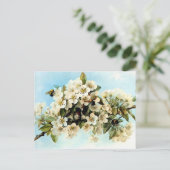 Vintage Appellationsblüten Postkarte (Stehend Vorderseite)