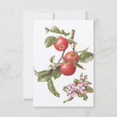Vintage Apple Blossom RSVP-Karte RSVP Karte (Rückseite)