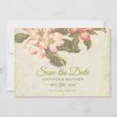 Vintage Apple Blossom Wedding Save the Date Card (Vorderseite)