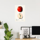 Vintage Apple Botanical Illustration Poster (Heimbüro)