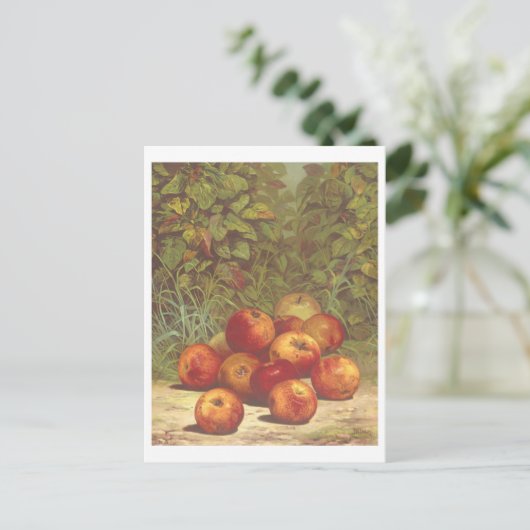 Vintage Apple Lithograph Postkarte (Stehend Vorderseite)