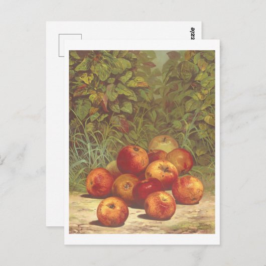 Vintage Apple Lithograph Postkarte (Vorne/Hinten)
