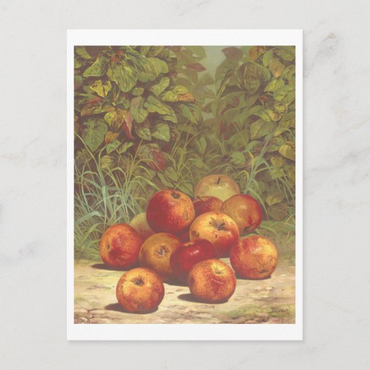 Vintage Apple Lithograph Postkarte (Vorderseite)