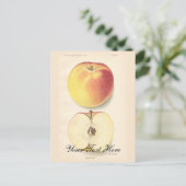 Vintage Apple-Postkarte Postkarte (Stehend Vorderseite)