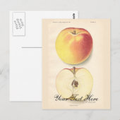 Vintage Apple-Postkarte Postkarte (Vorne/Hinten)