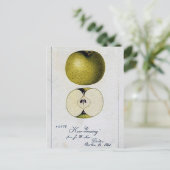 Vintage Apple-Rezept-Karte Postkarte (Stehend Vorderseite)