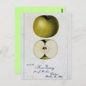Vintage Apple-Rezept-Karte Postkarte (Vorne/Hinten)