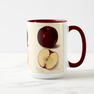 Vintage Apple-Tasse Tasse