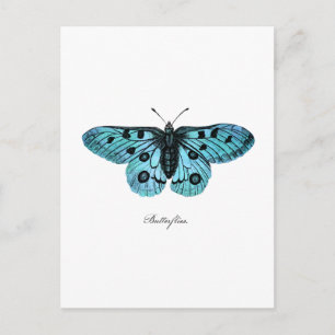 Vintage Aquamarine Blauer Schmetterling-Illustrati Postkarte