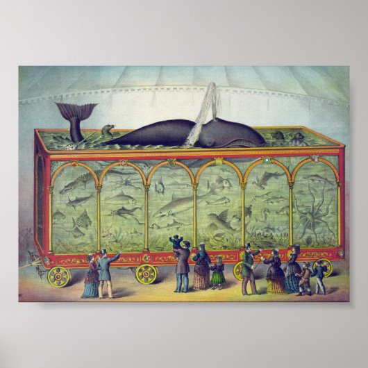 Vintage Aquarium-Werbung Poster (Vorne)