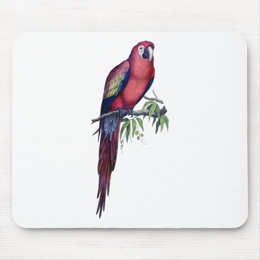 Vintage Ara Vogel Mousepad (Vorne)