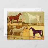 Vintage arabische Pferde - Collage Postkarte (Vorne/Hinten)