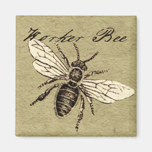 Vintage Arbeiterbiene Insekt Illustration Antiquit Magnet