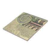 Vintage Architektur; Hauptstadt Volute von Vignola Fliese (Seite)