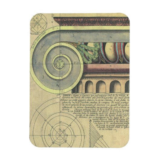 Vintage Architektur; Hauptstadt Volute von Vignola Magnet (Vertikal)