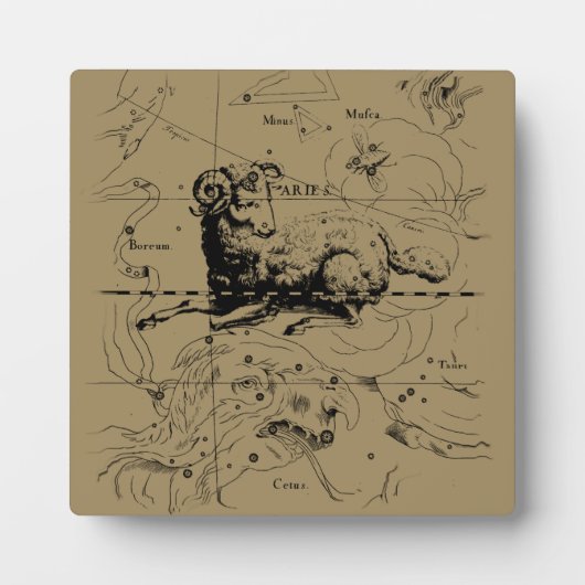 Vintage Aries Map Hevelius 1690 Fotoplatte (Vorderseite)